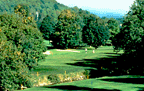 Golfing